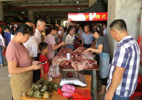 助力乡村振兴 澄迈县消费助农集市活动在金江举行